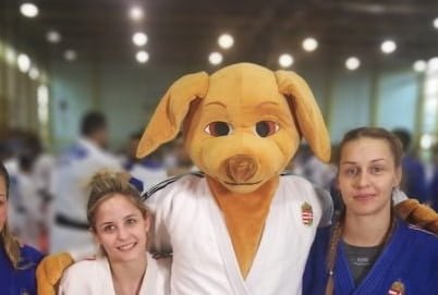 Judo World Championships 2017 in Budapest