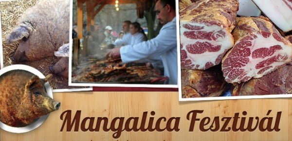 Mangalica festival in Budapest 2016