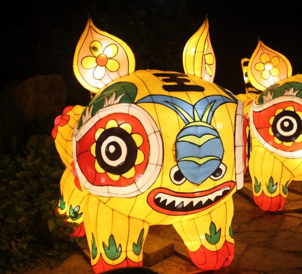 Chinese lights in Budapest Zoo