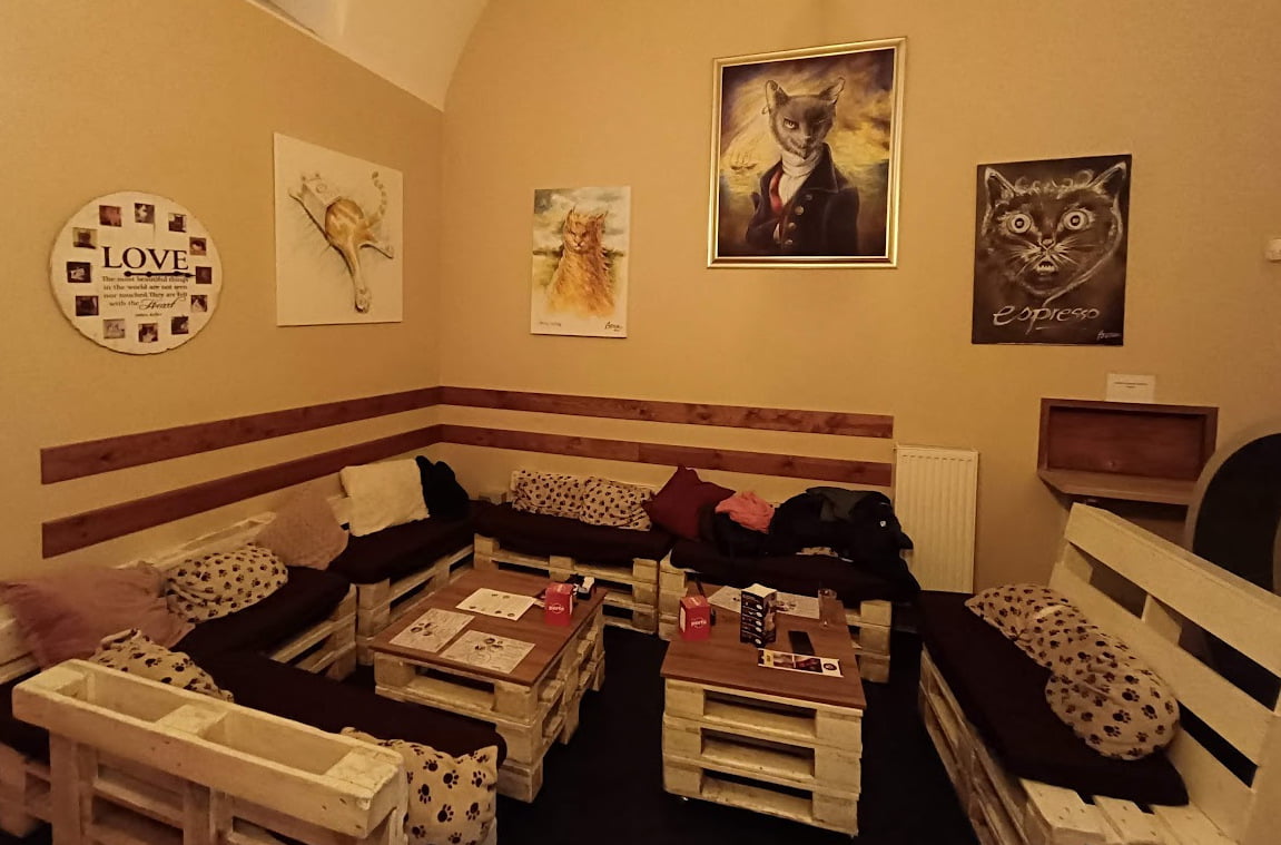 About Us – Cat Café Budapest